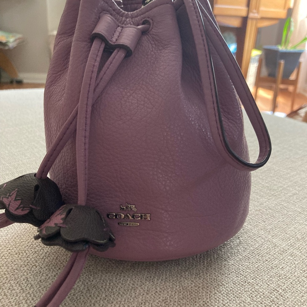 COACH Mauvy Wristlet